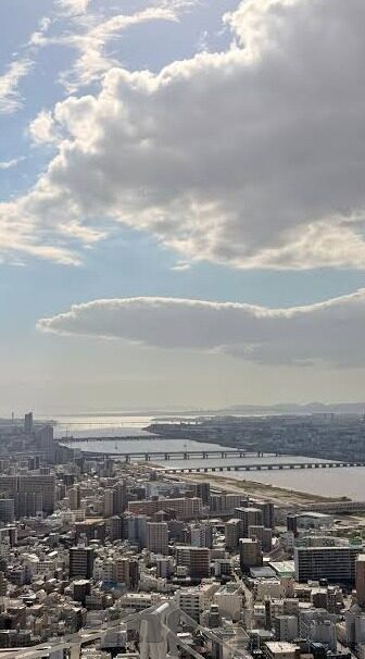 足球体球比分网-探秘足球体球比分网，球迷的数字战场与数据盛宴